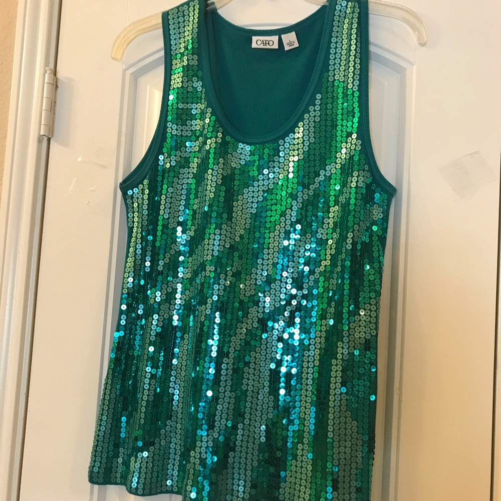 Turquoise green sequin tank top.Never worn. Size L Sorry, final offer price